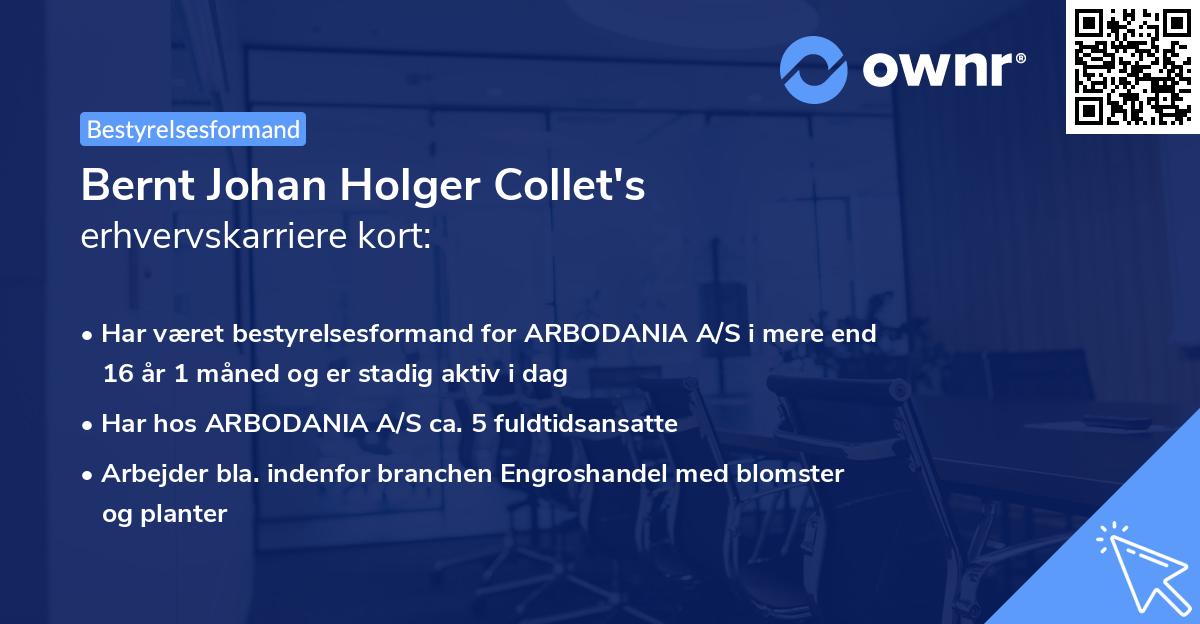 Bernt Johan Holger Collet's erhvervskarriere kort
