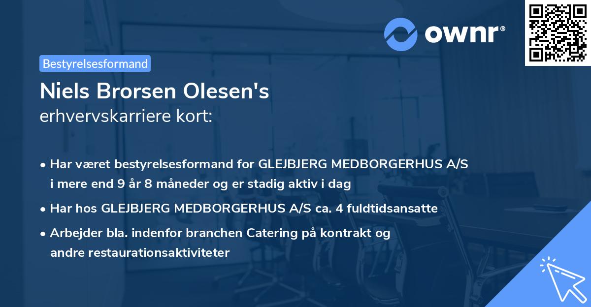 Niels Brorsen Olesen's erhvervskarriere kort