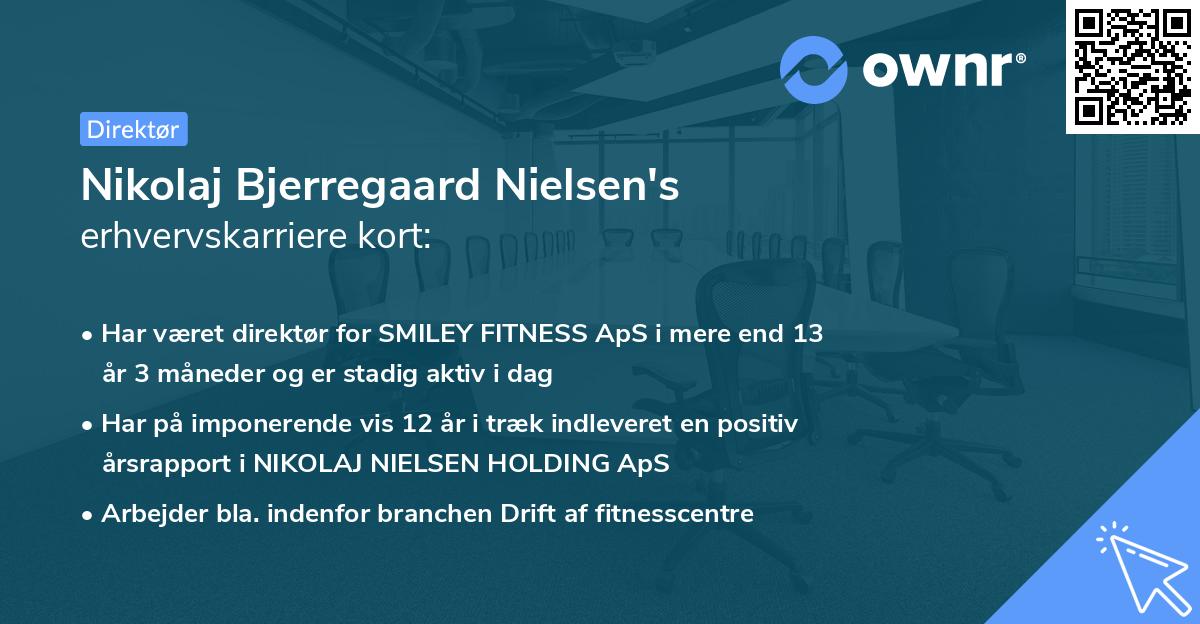 Nikolaj Bjerregaard Nielsen's erhvervskarriere kort