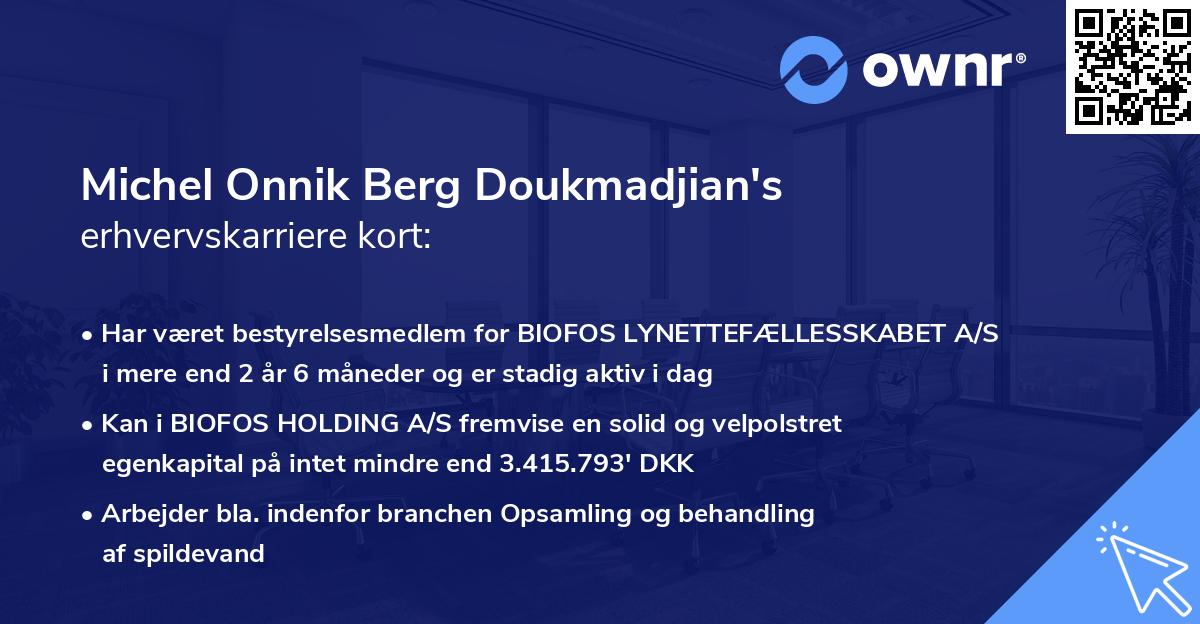 Michel Onnik Berg Doukmadjian's erhvervskarriere kort