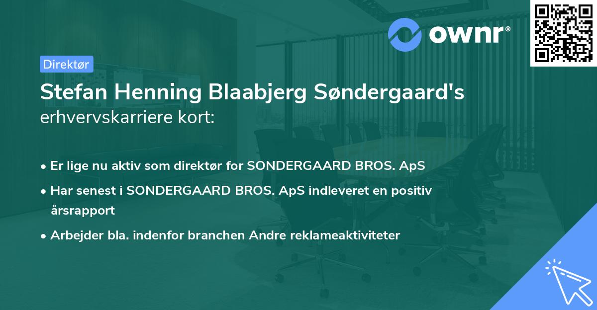 Stefan Henning Blaabjerg Søndergaard's erhvervskarriere kort