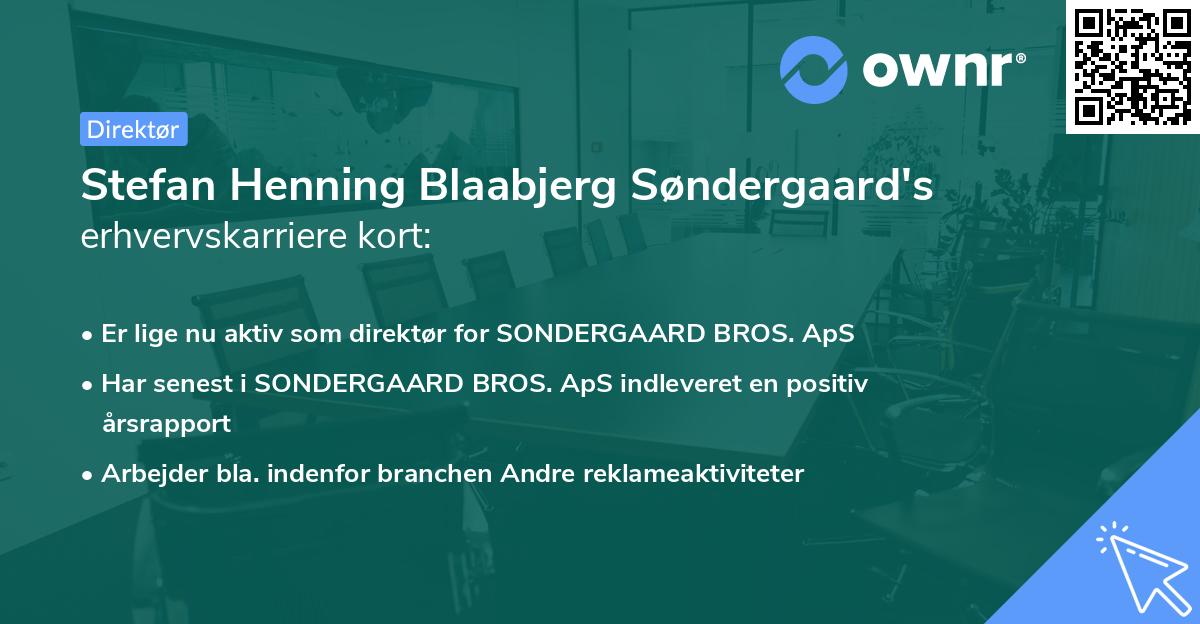 Stefan Henning Blaabjerg Søndergaard's erhvervskarriere kort