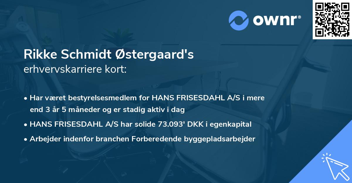 Rikke Schmidt Østergaard's erhvervskarriere kort