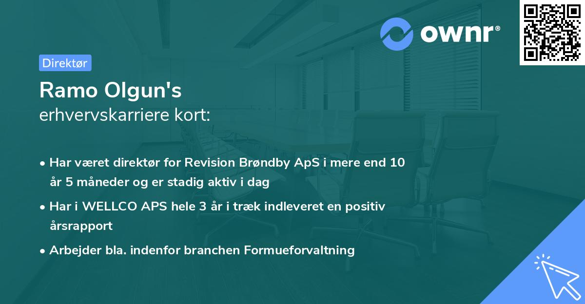 Ramo Olgun's erhvervskarriere kort