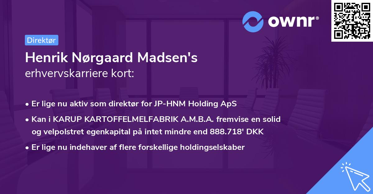 Henrik Nørgaard Madsen's erhvervskarriere kort