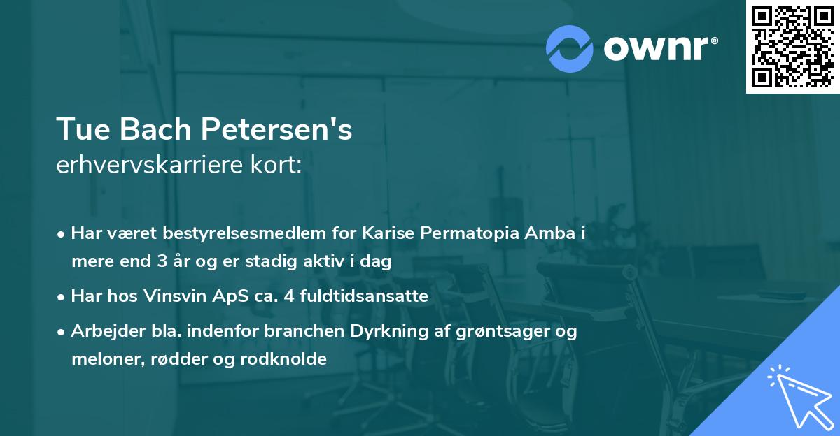 Tue Bach Petersen's erhvervskarriere kort