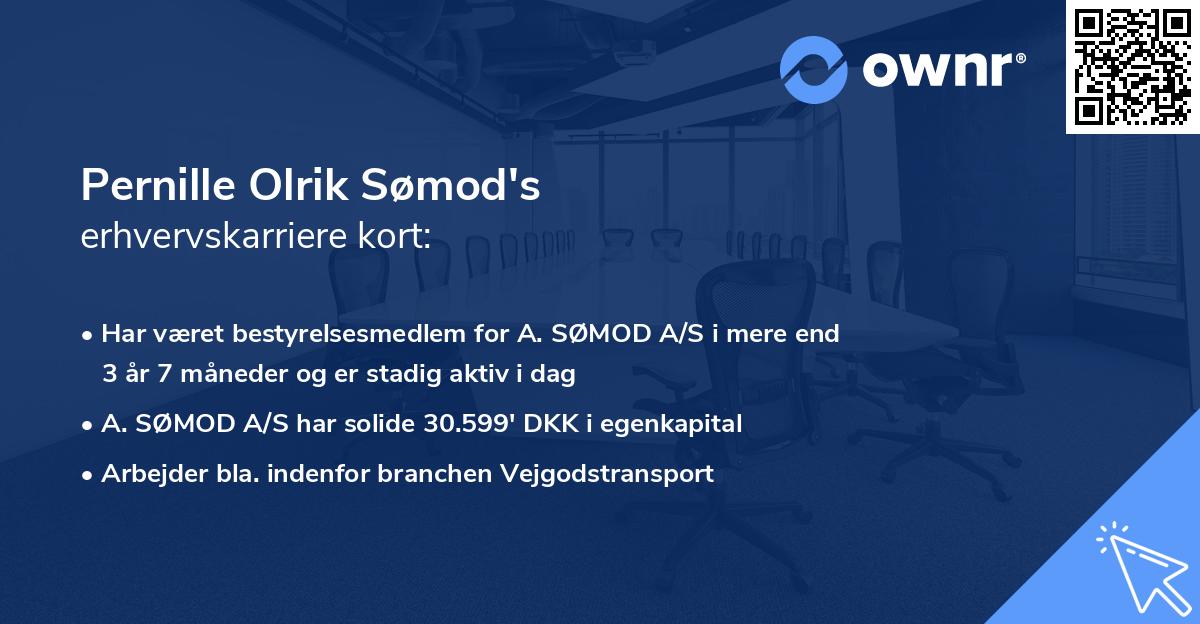 Pernille Olrik Sømod's erhvervskarriere kort