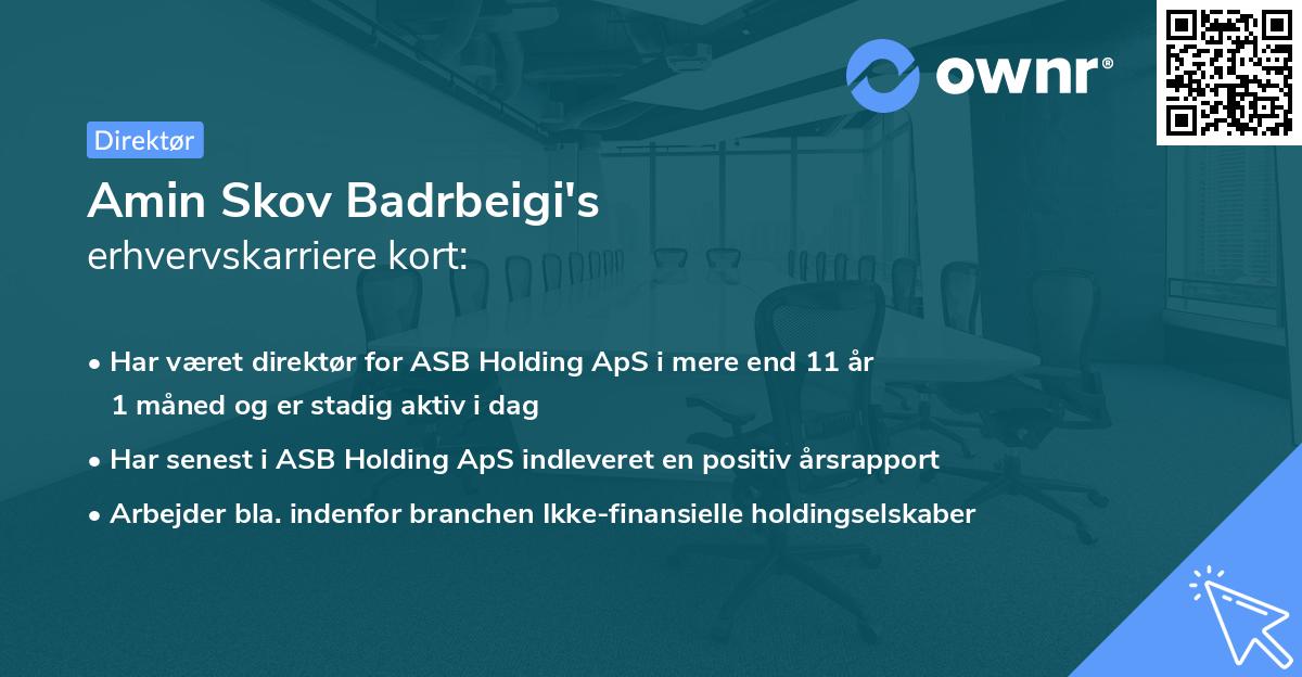 Amin Skov Badrbeigi's erhvervskarriere kort