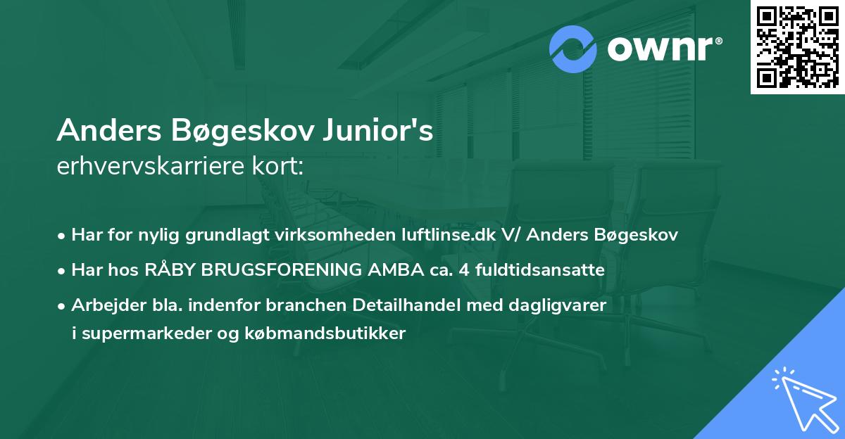 Anders Bøgeskov Junior's erhvervskarriere kort
