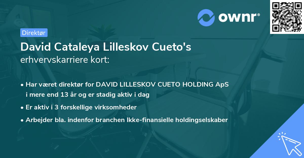 David Cataleya Lilleskov Cueto's erhvervskarriere kort