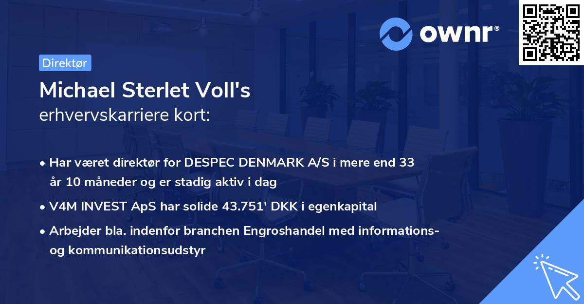 Michael Sterlet Voll's erhvervskarriere kort