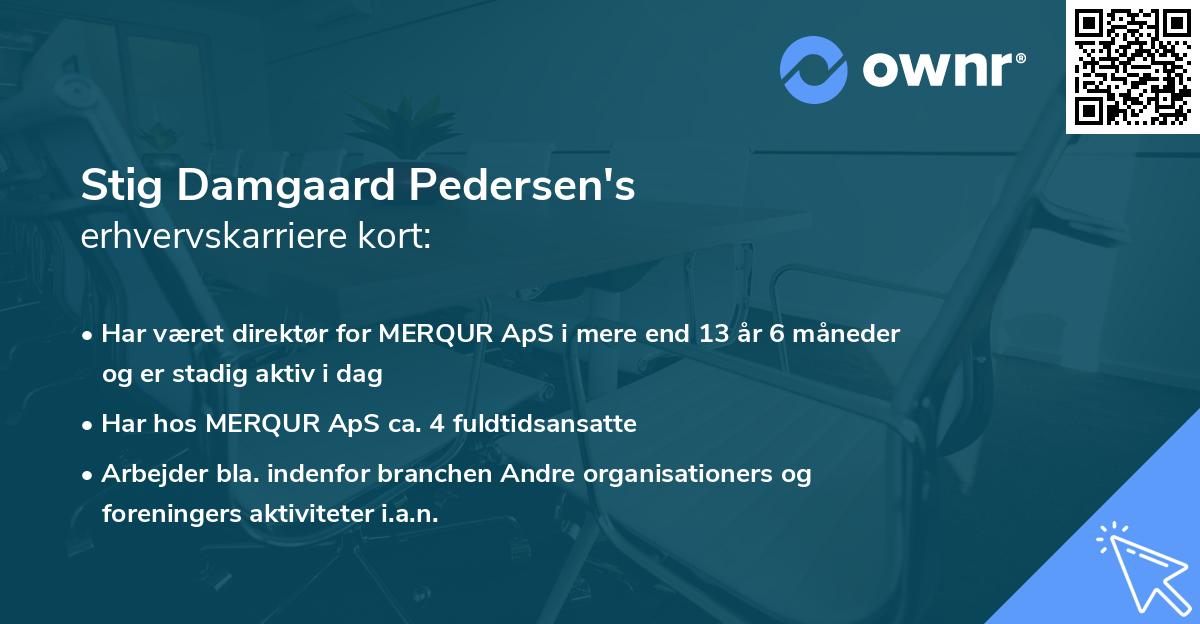 Stig Damgaard Pedersen's erhvervskarriere kort