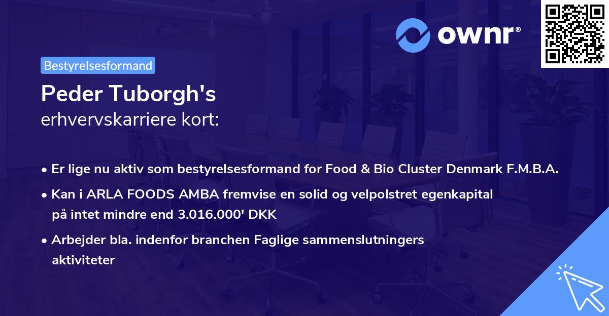 Peder Tuborgh's erhvervskarriere kort