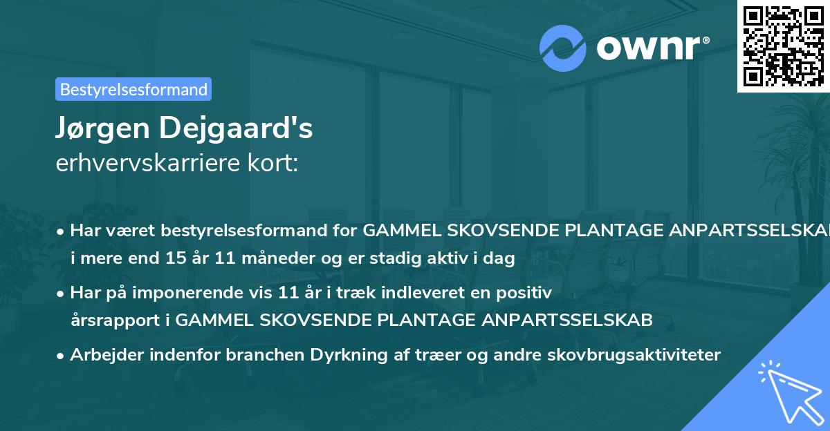 Jørgen Dejgaard's erhvervskarriere kort