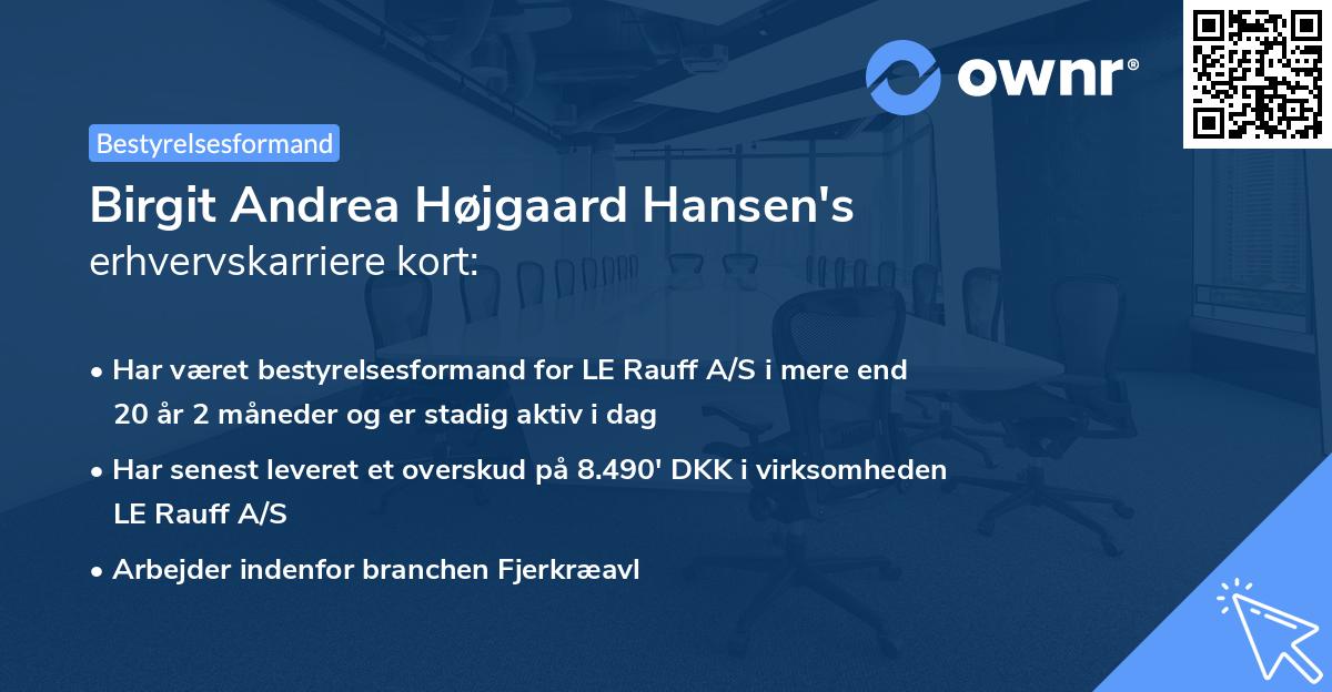 Birgit Andrea Højgaard Hansen's erhvervskarriere kort