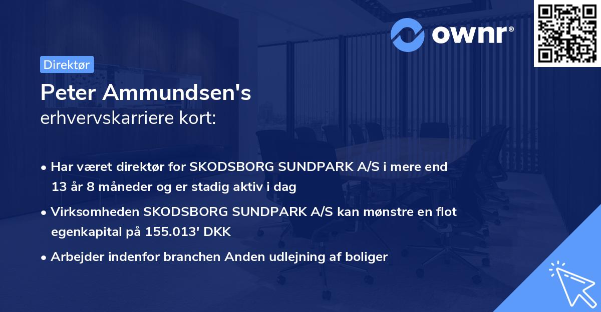 Peter Ammundsen's erhvervskarriere kort