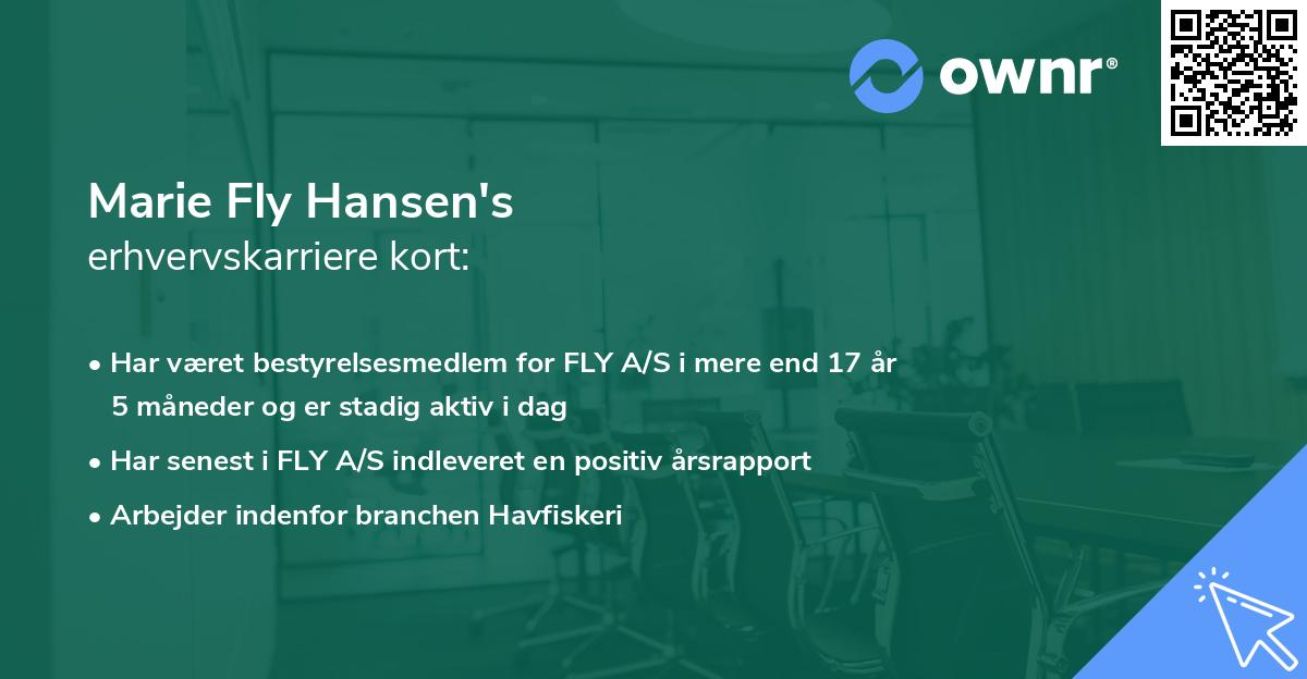 Marie Fly Hansen's erhvervskarriere kort