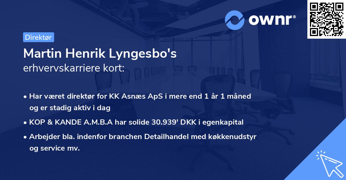 Martin Henrik Lyngesbo's erhvervskarriere kort