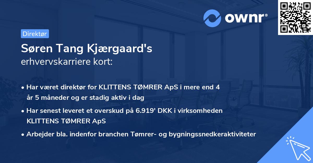 Søren Tang Kjærgaard's erhvervskarriere kort