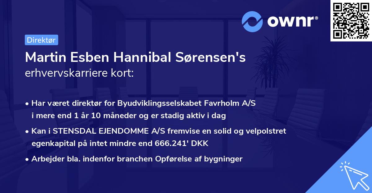 Martin Esben Hannibal Sørensen's erhvervskarriere kort