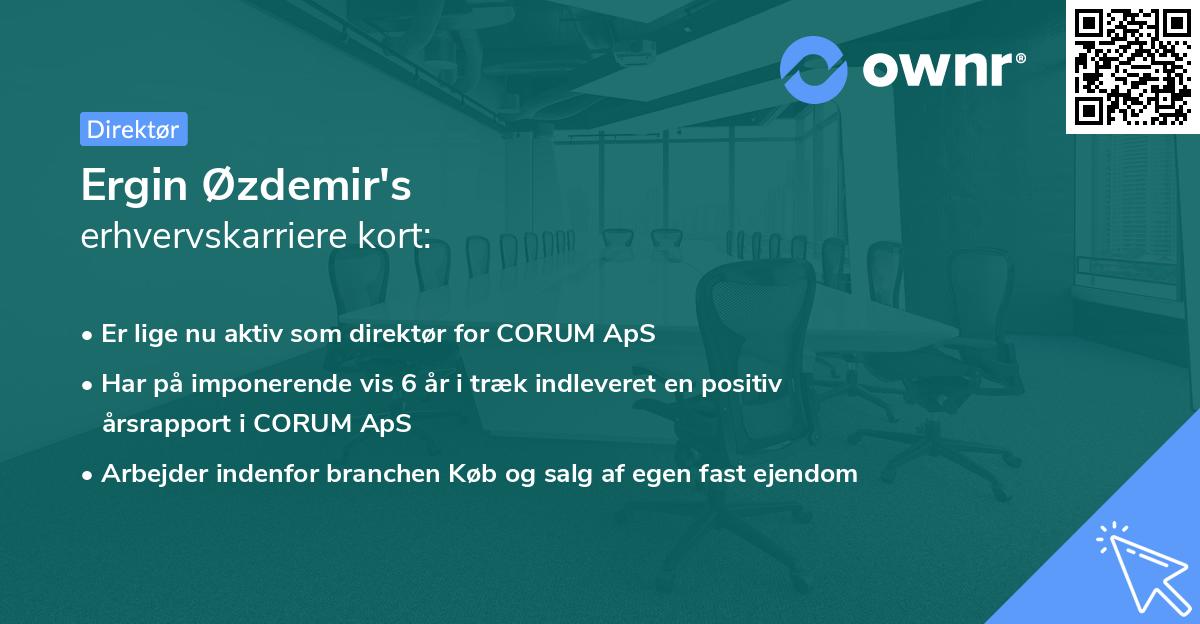 Ergin Øzdemir's erhvervskarriere kort