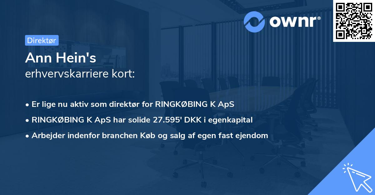 Ann Hein's erhvervskarriere kort