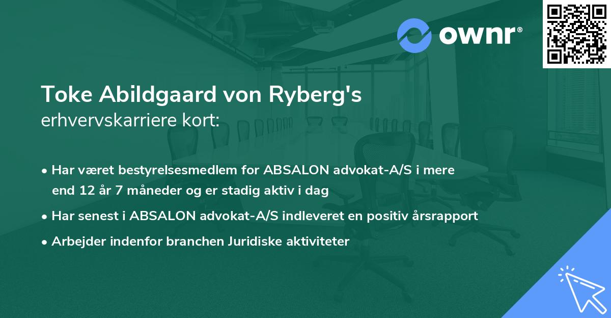 Toke Abildgaard von Ryberg's erhvervskarriere kort