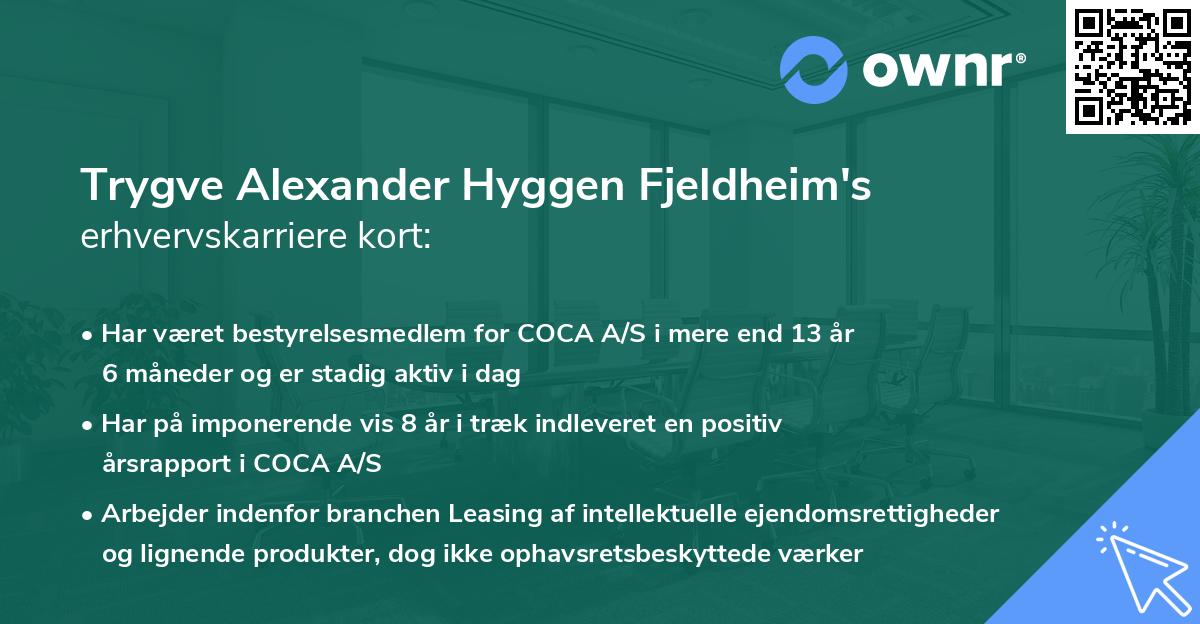 Trygve Alexander Hyggen Fjeldheim's erhvervskarriere kort
