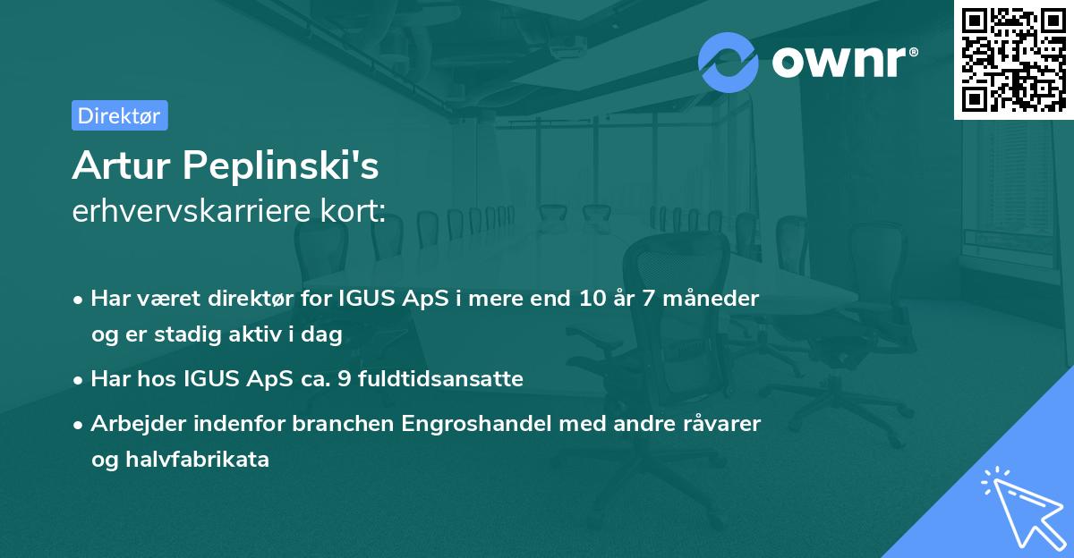 Artur Peplinski's erhvervskarriere kort