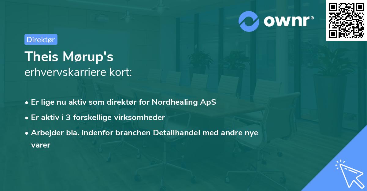 Theis Mørup's erhvervskarriere kort