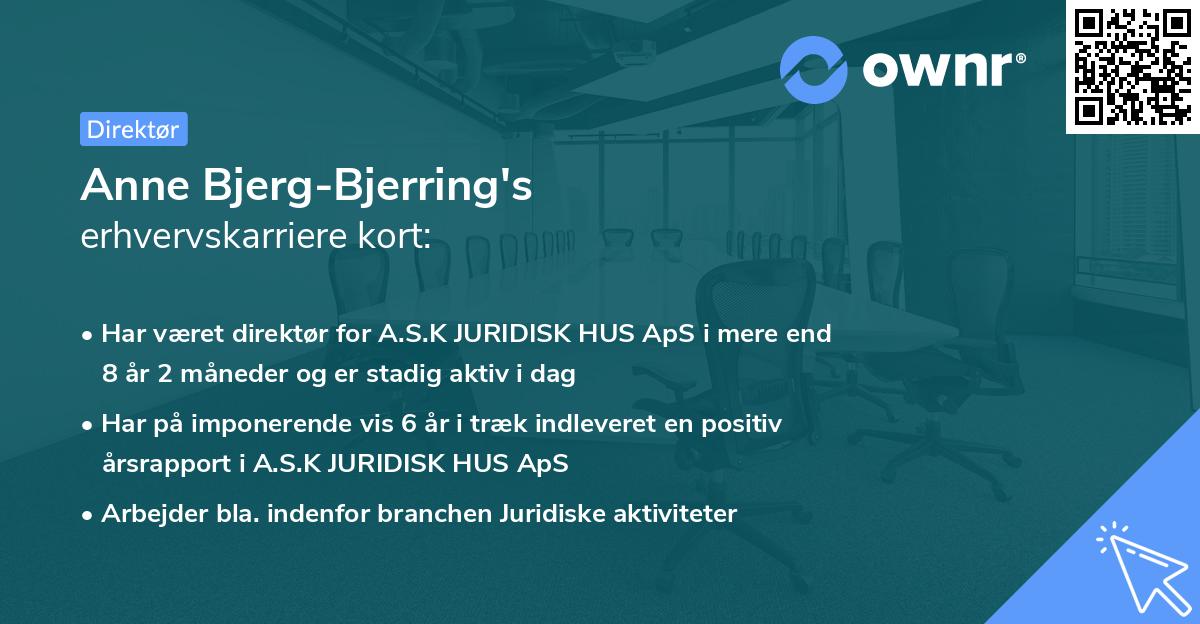 Anne Bjerg-Bjerring's erhvervskarriere kort