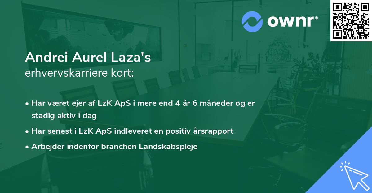 Andrei Aurel Laza's erhvervskarriere kort