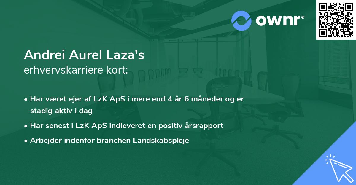 Andrei Aurel Laza's erhvervskarriere kort