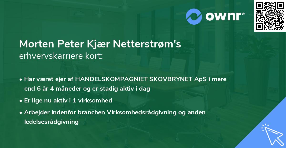 Morten Peter Kjær Netterstrøm's erhvervskarriere kort