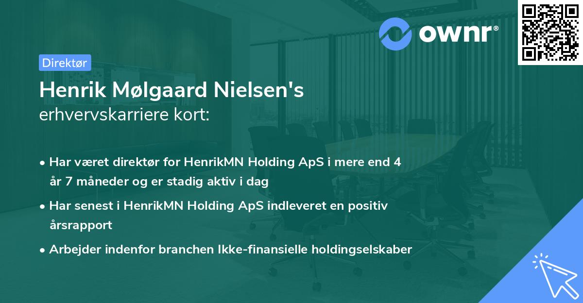Henrik Mølgaard Nielsen's erhvervskarriere kort