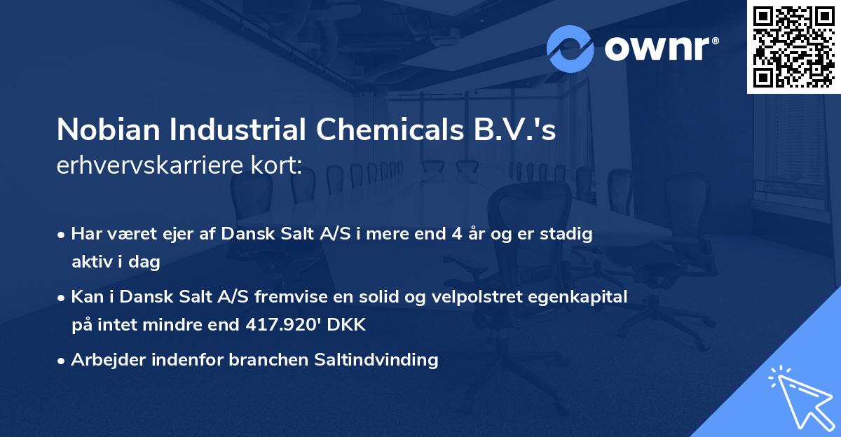 Nobian Industrial Chemicals B.V.'s erhvervskarriere kort