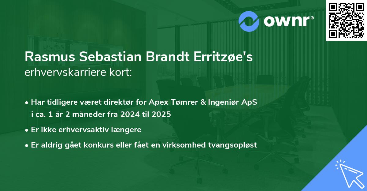 Rasmus Sebastian Brandt Erritzøe's erhvervskarriere kort