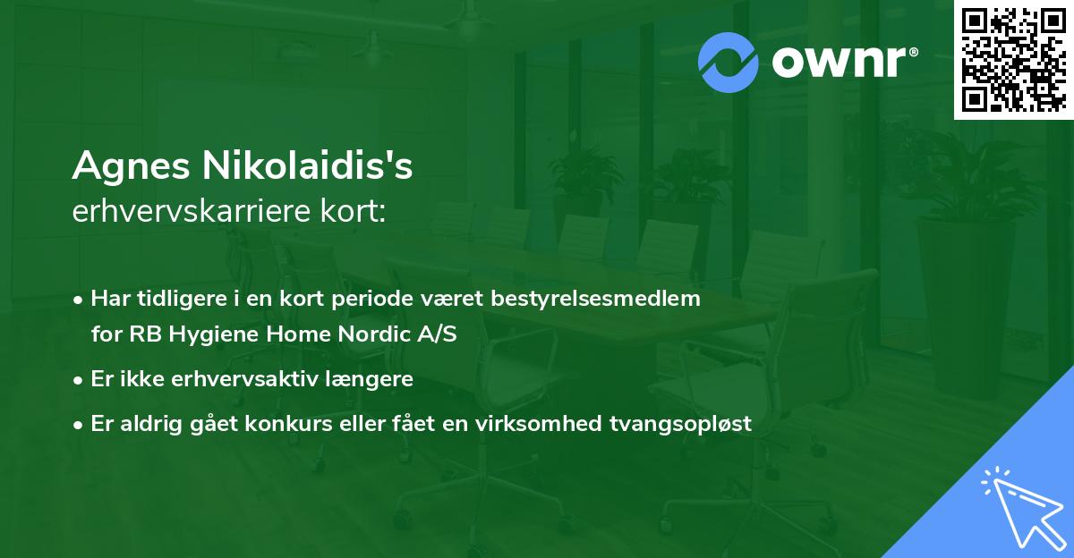 Agnes Nikolaidis's erhvervskarriere kort