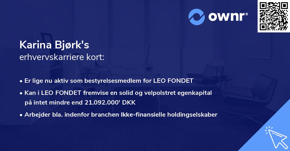 Karina Bjørk's erhvervskarriere kort