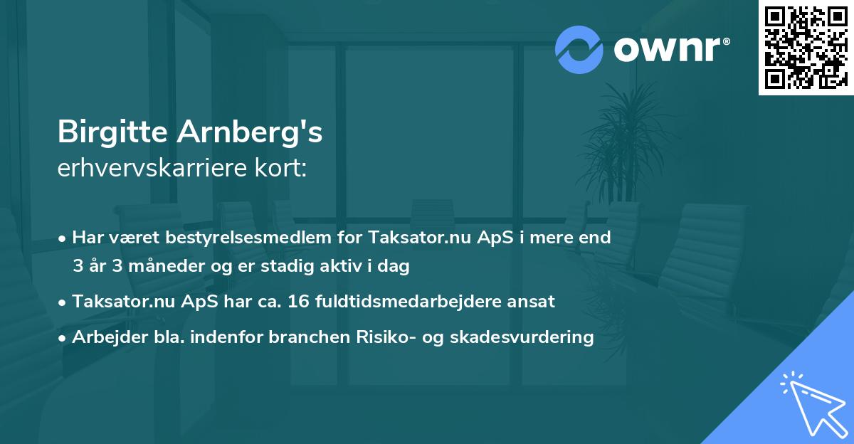 Birgitte Arnberg's erhvervskarriere kort