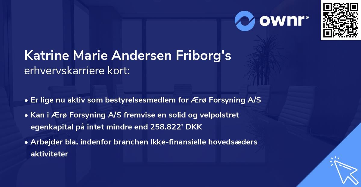 Katrine Marie Andersen Friborg's erhvervskarriere kort