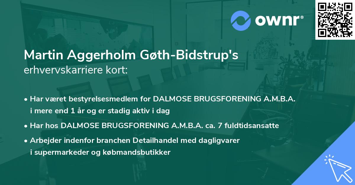 Martin Aggerholm Gøth-Bidstrup's erhvervskarriere kort
