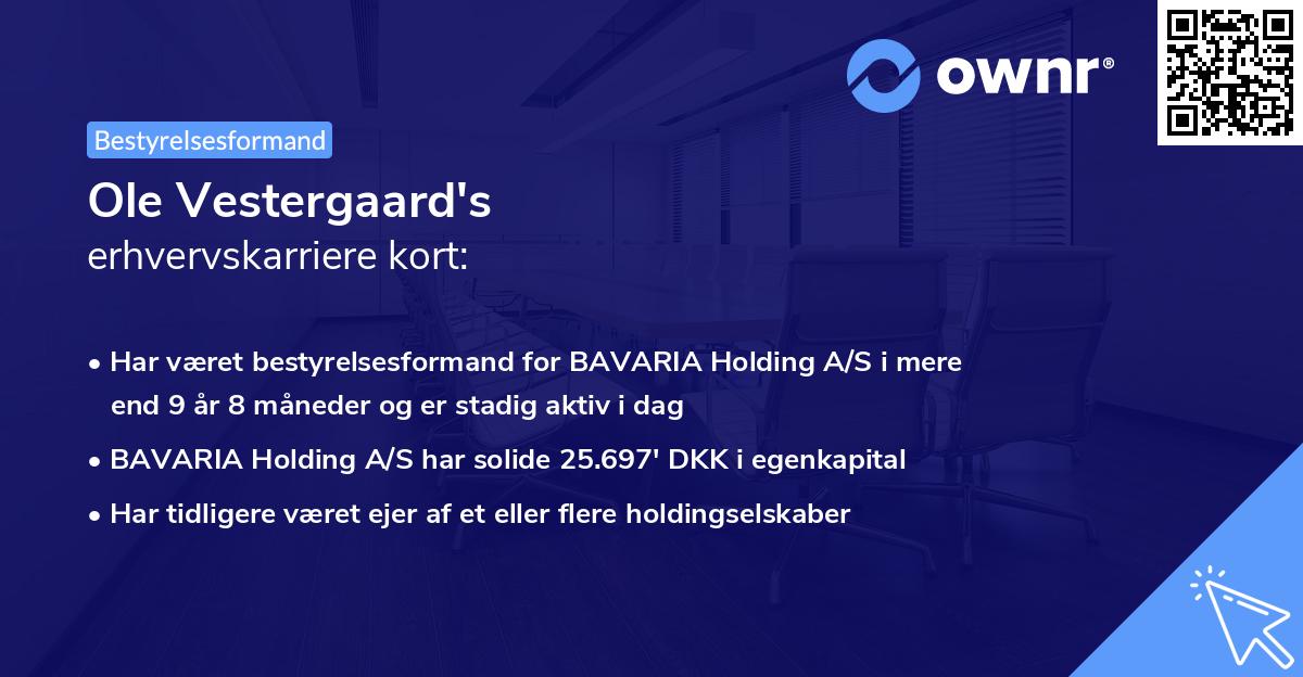 Ole Vestergaard's erhvervskarriere kort