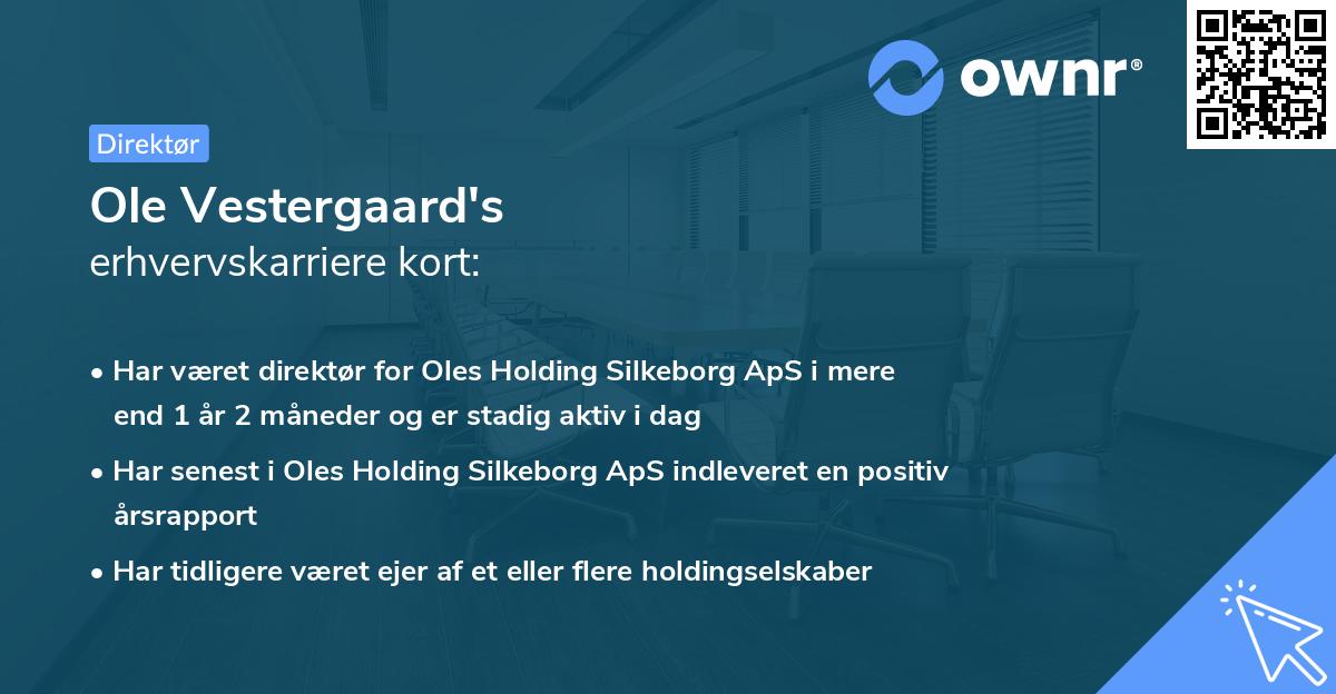 Ole Vestergaard's erhvervskarriere kort