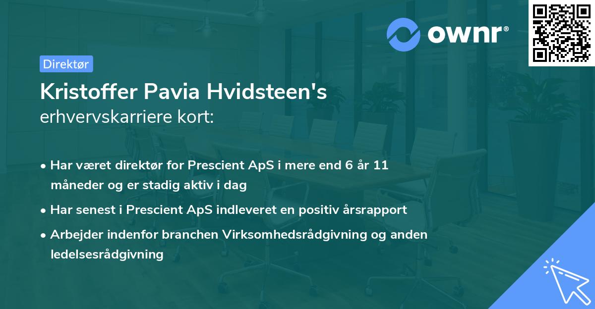 Kristoffer Pavia Hvidsteen's erhvervskarriere kort