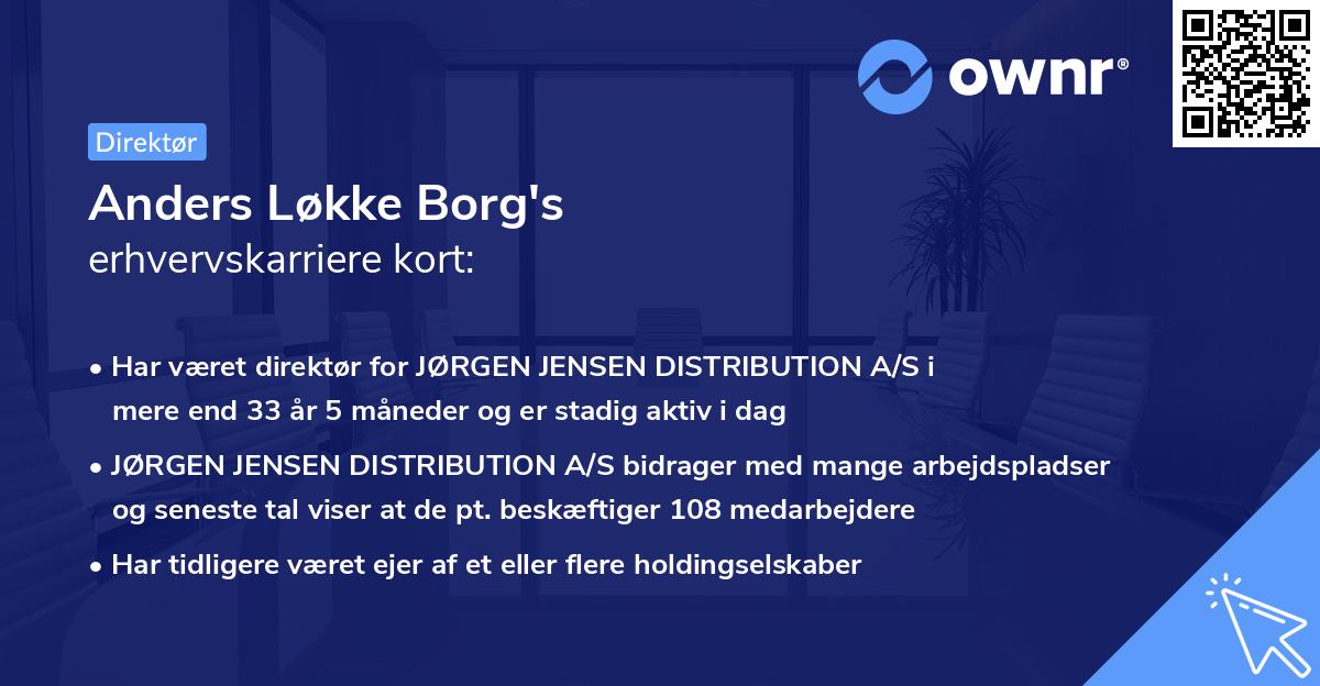 Anders Løkke Borg's erhvervskarriere kort