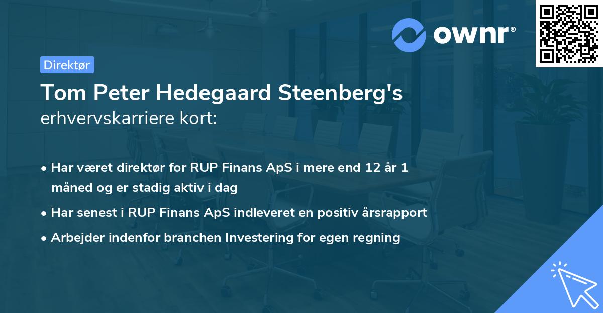Tom Peter Hedegaard Steenberg's erhvervskarriere kort