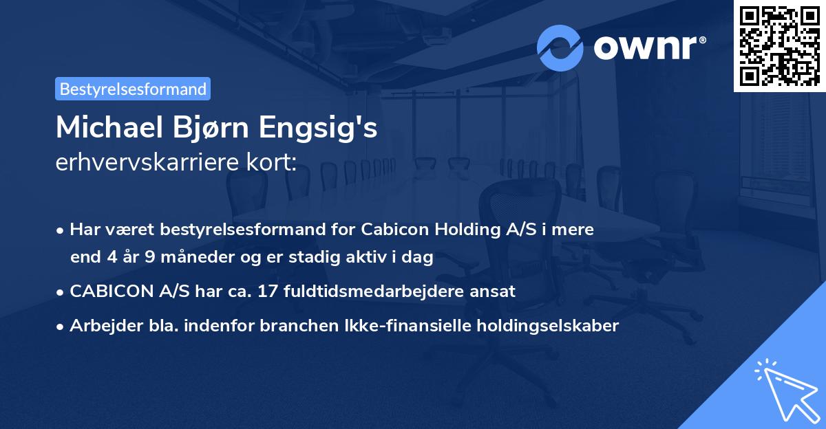 Michael Bjørn Engsig's erhvervskarriere kort