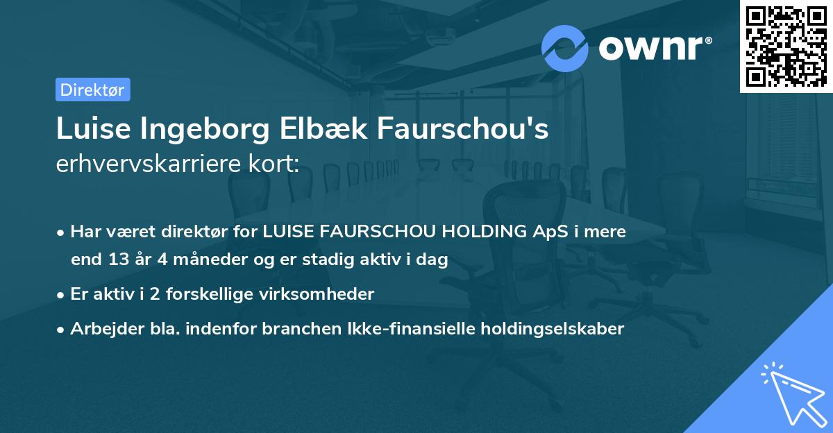 Luise Ingeborg Elbæk Faurschou's erhvervskarriere kort