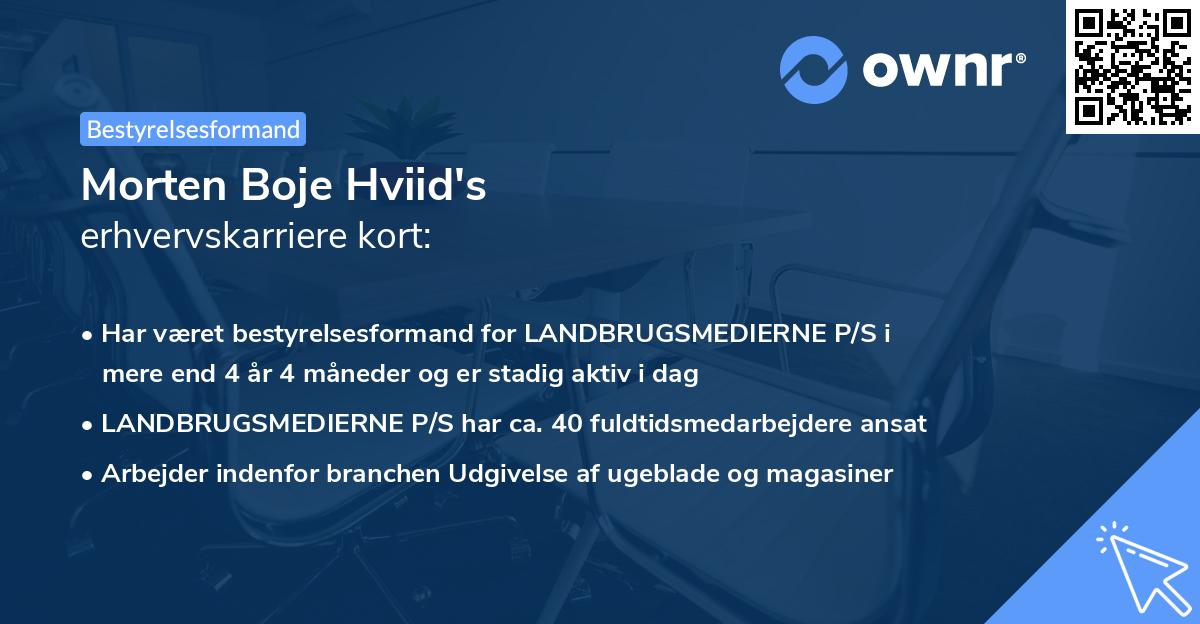 Morten Boje Hviid's erhvervskarriere kort